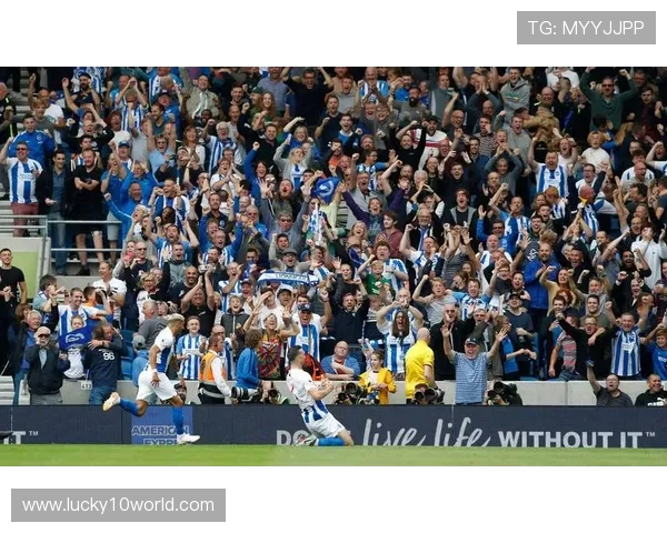 布莱顿球迷以信托基金模式深度参与球队管理与决策 布莱顿球迷以信托基金模式深度参与球队管理与决策